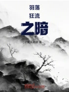 羽落狂流之暗在线阅读