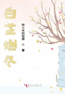 白芷燃盡