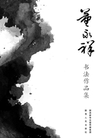 董永祥书法作品集