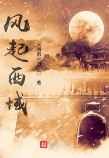 风起西域
