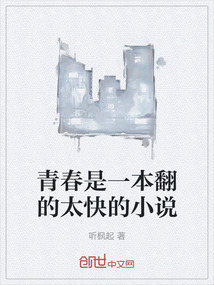 青春是一本翻的太快的小說