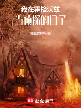 我在霍格沃茨当侦探的日子在线阅读