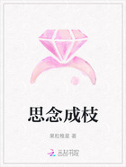思念成枝在线阅读