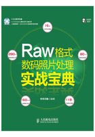 Raw格式数码照片处理实战宝典在线阅读