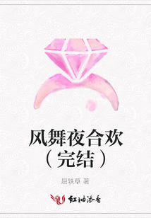 风舞夜合欢(完结)