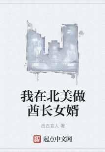 我在北美做酋長女婿