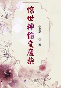 驚世神偷變廢柴