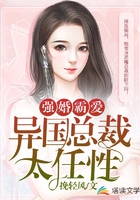 强婚霸爱,异国总裁太任性在线阅读