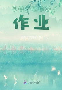 風(fēng)車下的貓的作業(yè)