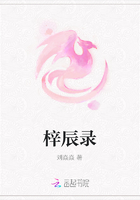 梓辰錄在線閱讀