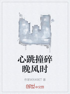 心跳撞碎晚風時在線閱讀