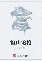 恒山论枪在线阅读