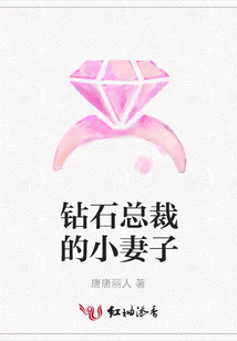 鉆石總裁的小妻子
