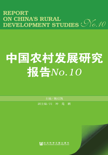 中国农村发展研究报告(No.10)