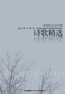 中國2012年度詩歌精選