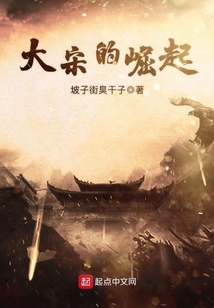 大宋的崛起