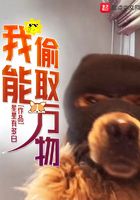 我能偷取萬(wàn)物在線閱讀