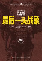 最后一头战象（荣誉珍藏版）（动物小说大王沈石溪经典作品）