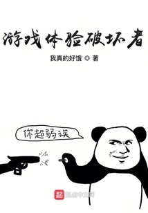 游戲體驗破壞者