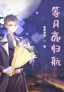 等月亮归航