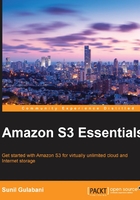 Amazon S3 Essentials在线阅读