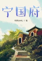 寧國府在線閱讀