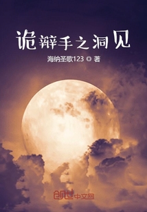 詭辯手之洞見