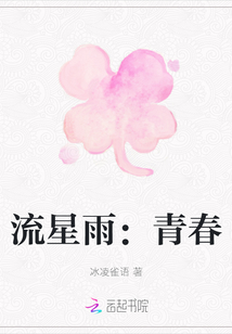流星雨：青春