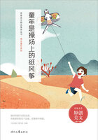 青春美文精品集萃丛书·难忘童年系列:童年是操场上的纸风筝在线阅读