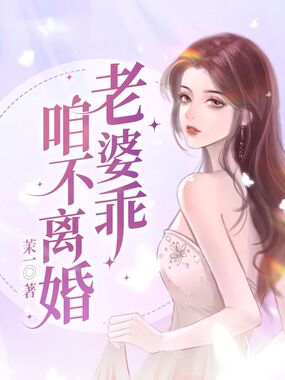 老婆乖，咱不离婚在线阅读