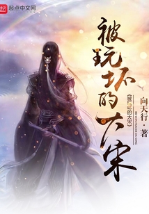被玩壞的大宋