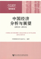 中国经济分析与展望（2012～2013）（CCIEE智库报告）在线阅读