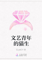 文藝青年的貓生在線閱讀