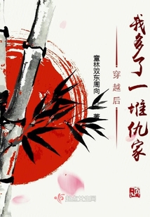 穿越后我多了一堆仇家