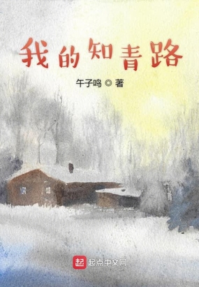 我的知青路在线阅读