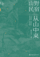 山野民宿：从山中来在线阅读