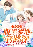 一胎双宝:腹黑爹地套路深