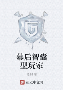 幕后智囊型玩家