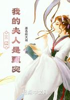 三国：我的夫人是甄宓在线阅读