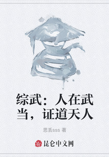 綜武：人在武當，證道天人