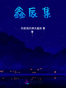 鑫辰集