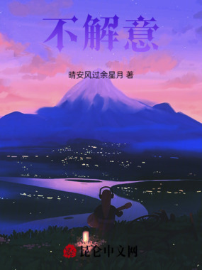 不解意在线阅读