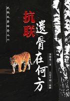抗联故事传奇之六:抗联遗骨在何方在线阅读