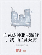 亡灵法师兼职魔修,我即亡灵天灾在线阅读