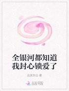 全银河都知道我封心锁爱了在线阅读