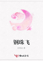钢珠飞在线阅读