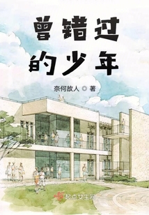 曾錯過的少年