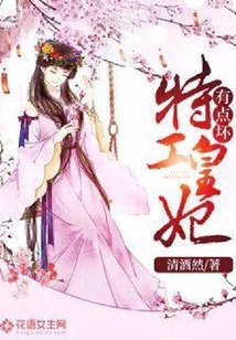特工皇妃有点坏