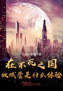 在不死之国做城管是什么体验
