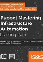 Puppet：Mastering Infrastructure Automation在线阅读